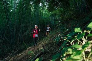 BIB: 
                            <button type="button" onclick="openModal(28123123)" class="btn btn-primary btn-sm float-right btn-popup" data-toggle="modal" data-target=".modal-high-quality">
                        <i class="fas fa-shopping-cart"></i> Add to Cart
                    </button>
                                            <button type="button" onclick="isThisMe(28123123, true)" class="btn btn-success btn-sm float-right btn-popup btn-isme hidden" data-toggle="tooltip" data-placement="bottom" title="นี่คือรูปของคุณใช่ไหม คลิกที่นี่เพื่อเอาเข้าอัลบั้ม">
                        <i class="fas fa-plus"></i> Add to album
                    </button>
                    <button type="button" onclick="isThisMe(28123123, false)" class="btn btn-warning btn-sm float-right btn-popup btn-isnotme hidden">
                        <i class="fas fa-ban"></i> Remove from album
                    </button>